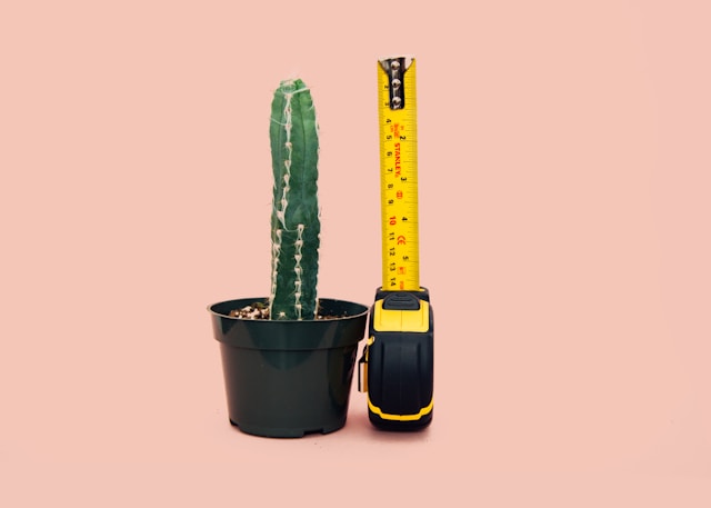 Plant growth